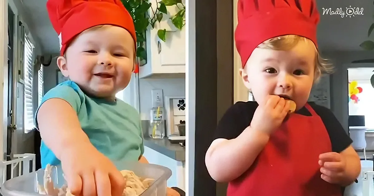 A baby in a red chef hat is smiling and eating in a kitchen setting.