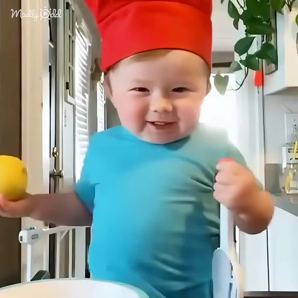 A smiling baby in a blue shirt and red chef's hat holds a lemon, standing in a kitchen.