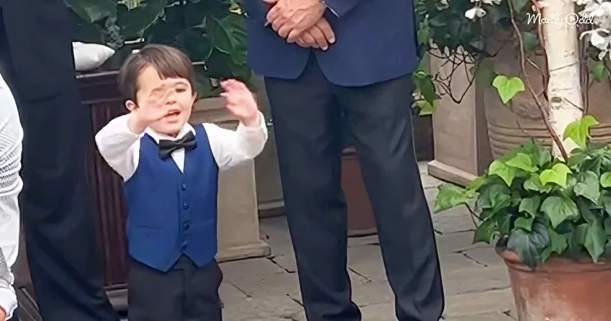 A young boy in a blue vest and bow tie covers his face with his hands, standing outdoors near adults.