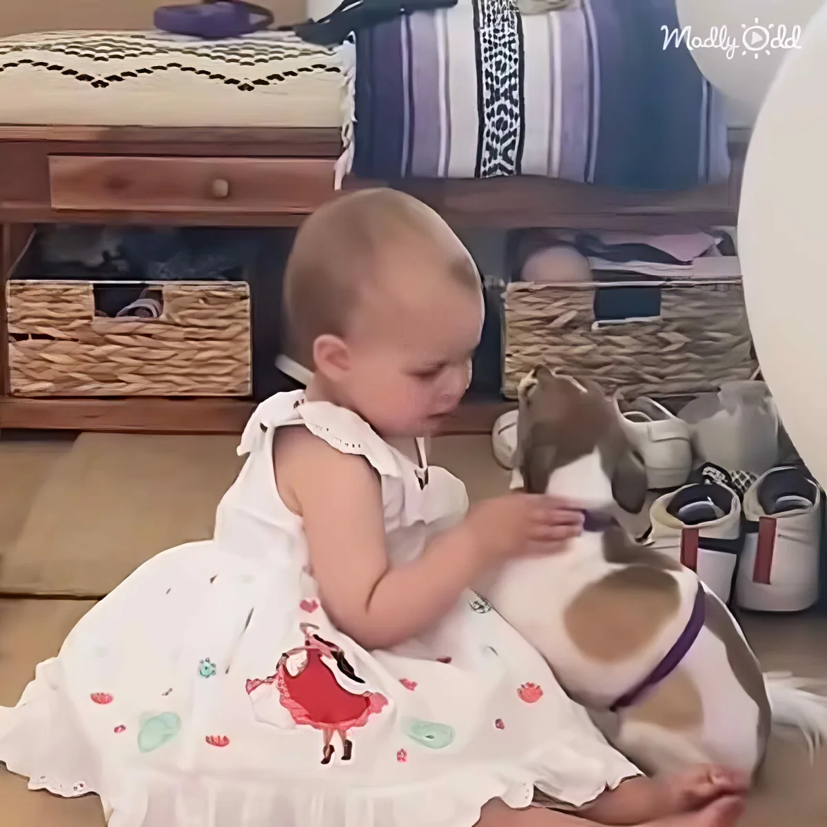 Toddler comforts dog