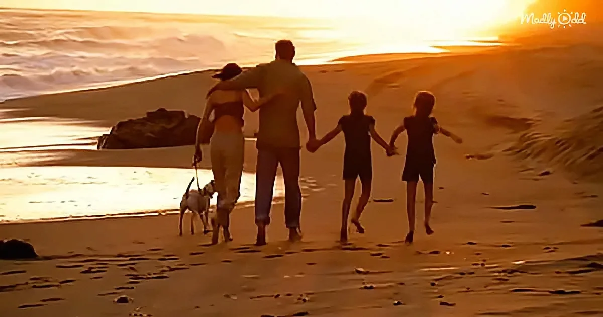 A family of four and a dog walk hand-in-hand on a beach at sunset.