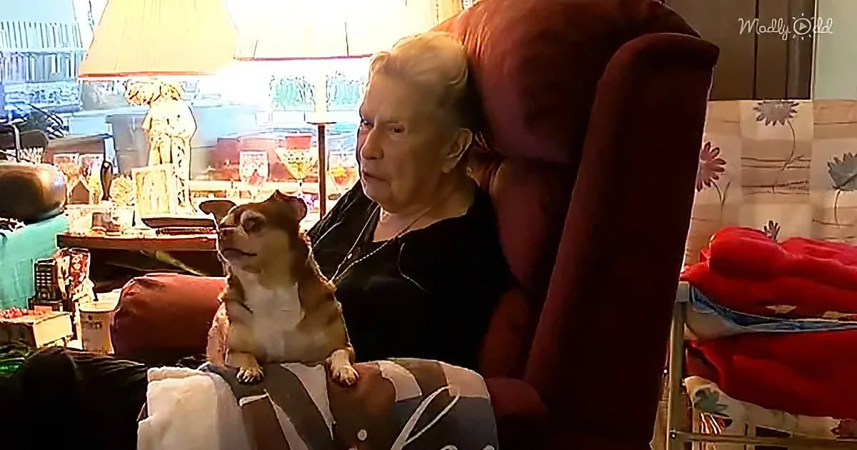 92-year-old Mary Alexander and rescued Chihuahua