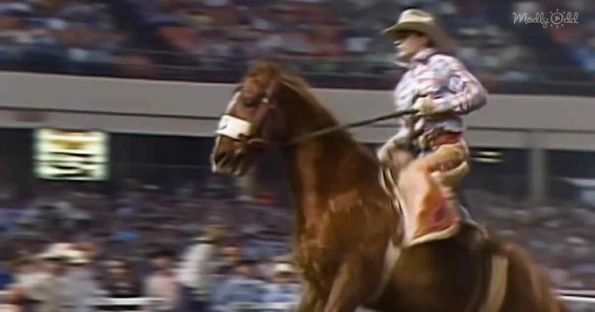 A rider in a cowboy hat and plaid shirt is riding a bucking horse in a rodeo arena.