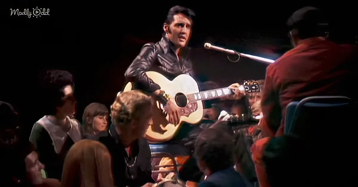 Sit-Down Concert With Elvis Presley Singing 'Are You Lonesome Tonight?'