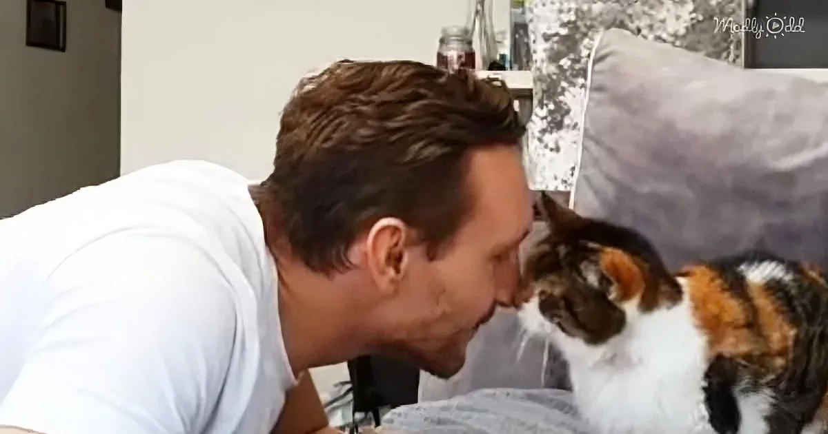 A man in a white shirt leans close to a calico cat, both appearing curious and engaged.