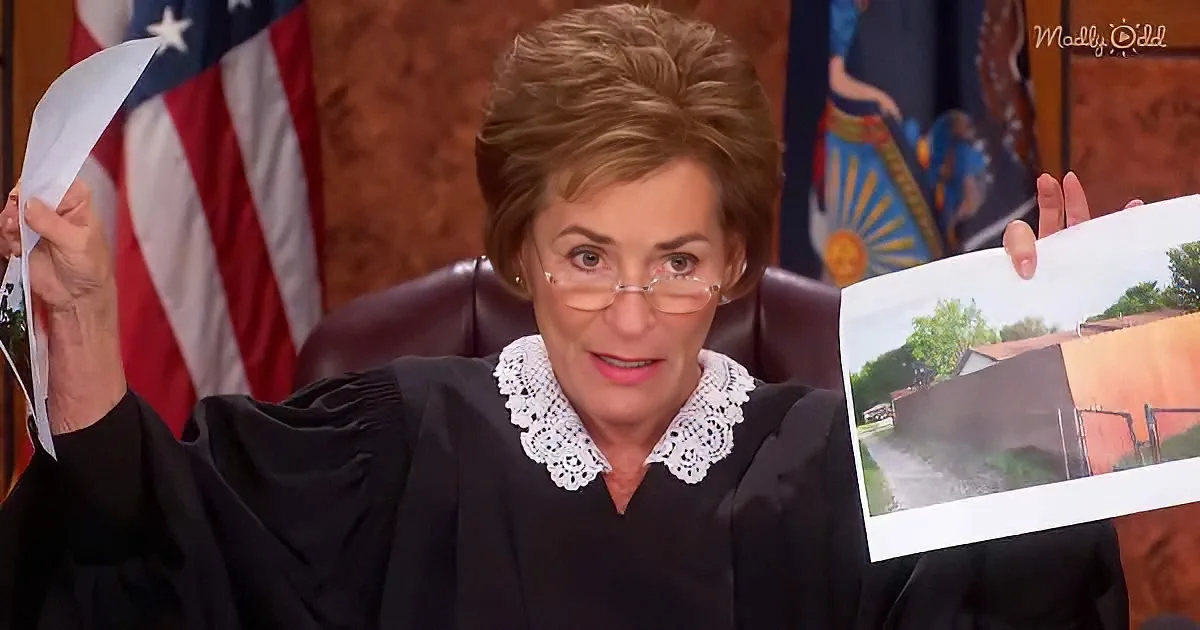 Judge Judy Puts Her Foot Down When 'Bully' Sues Neighbor Over Fence