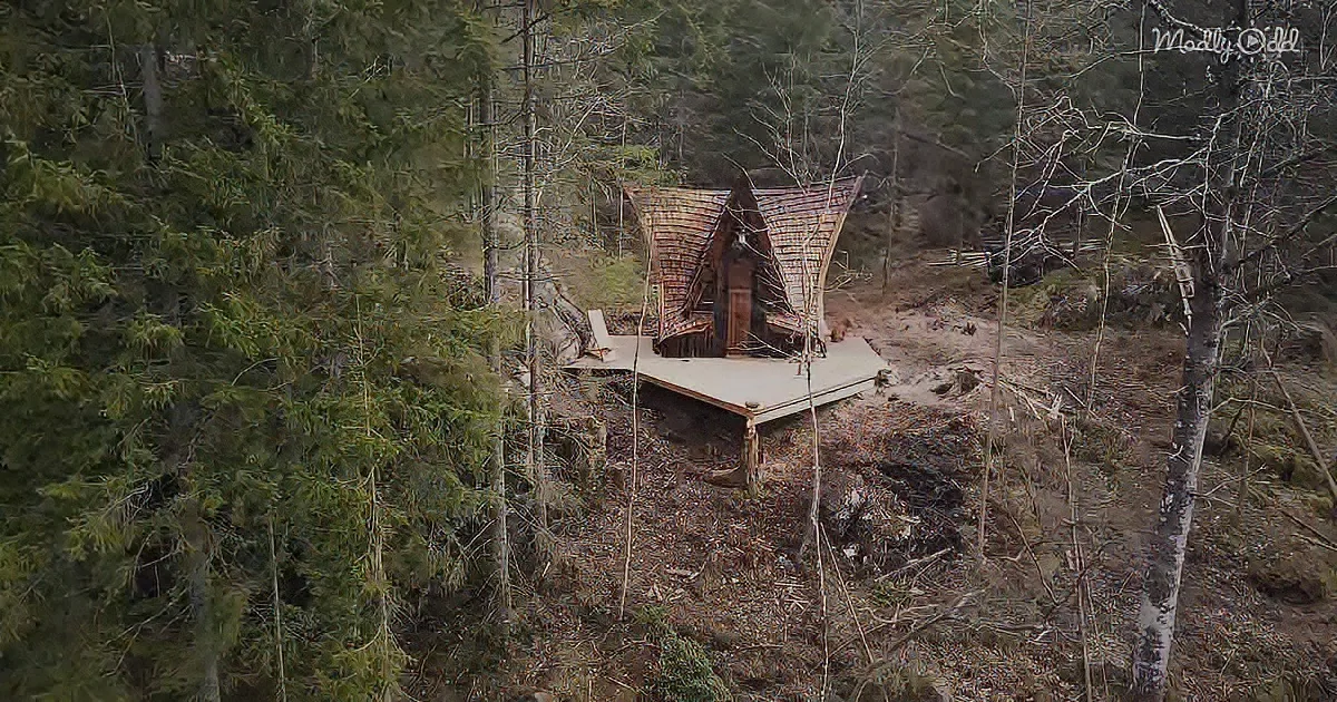 A rustic wooden cabin with a thatched roof sits on a raised platform surrounded by dense forest.