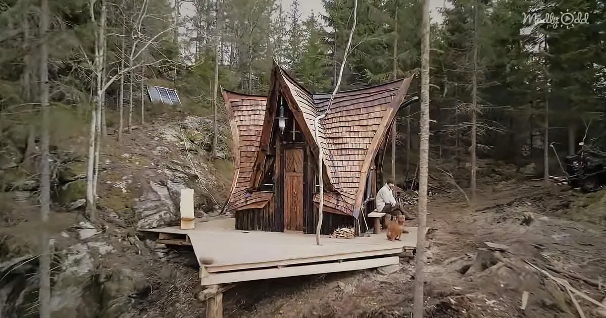 A rustic wooden cabin with a unique, curved roof sits on a wooden deck in a forested area.