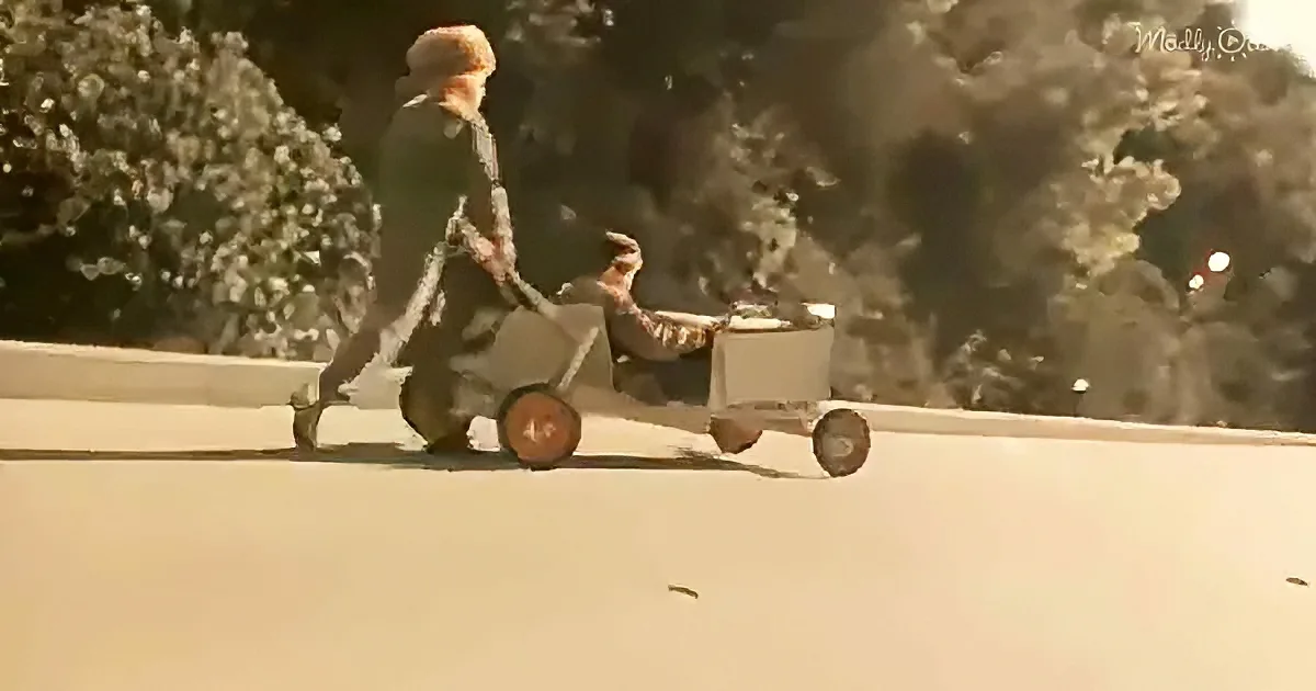 A person in a costume pulls a cart with another person inside on a paved surface.