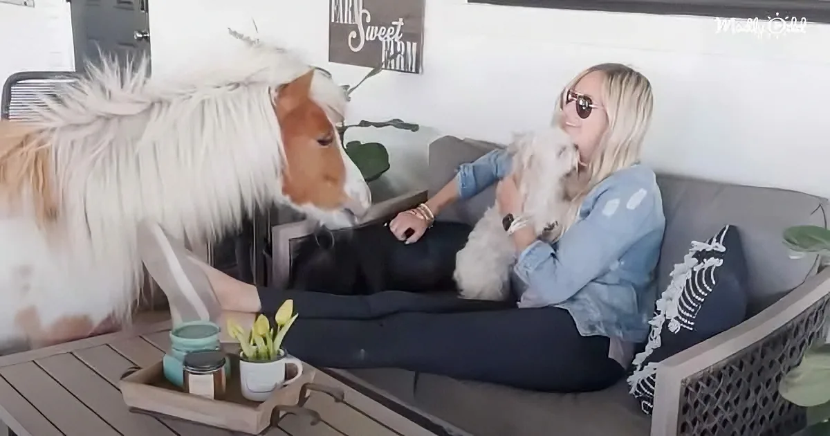 A woman sits on a couch with a dog, petting a horse that leans in close.