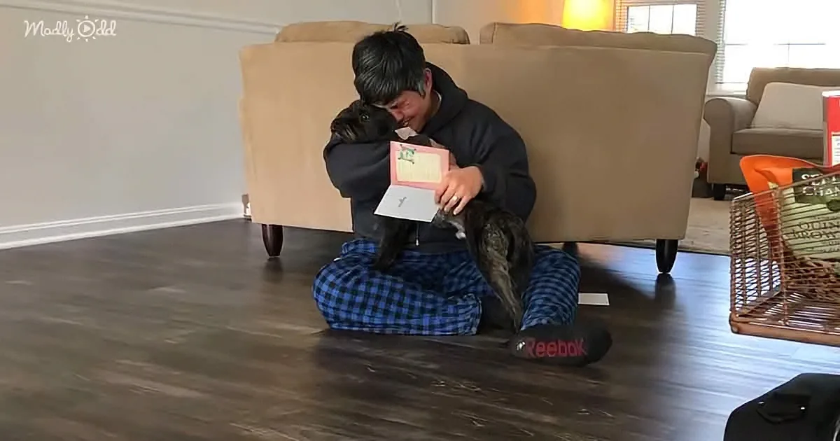 Emotional Dad Finds out He Can Keep His Foster Dog