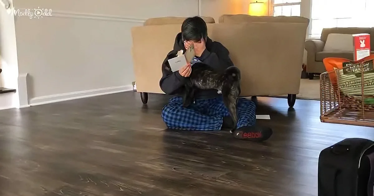 A person in pajamas sits cross-legged on a hardwood floor, holding a cat and a book.