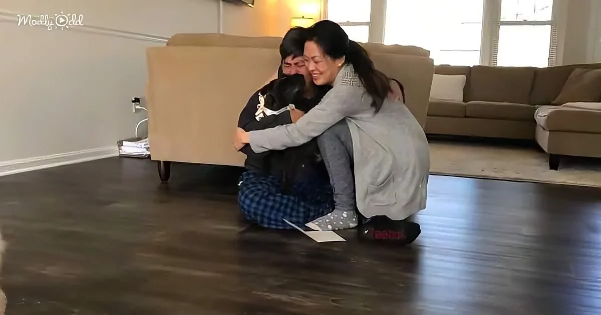 Two people are hugging on the floor in a living room with a couch and hardwood floors.