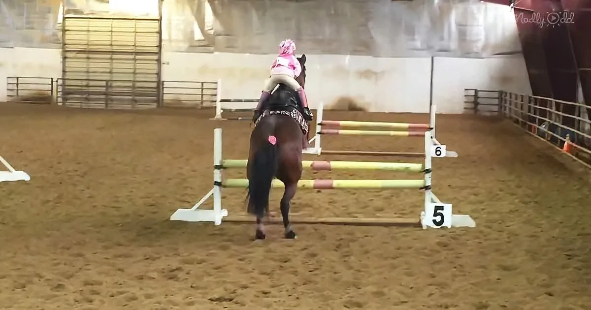 A horse and rider in an indoor arena approach a jump numbered 5.