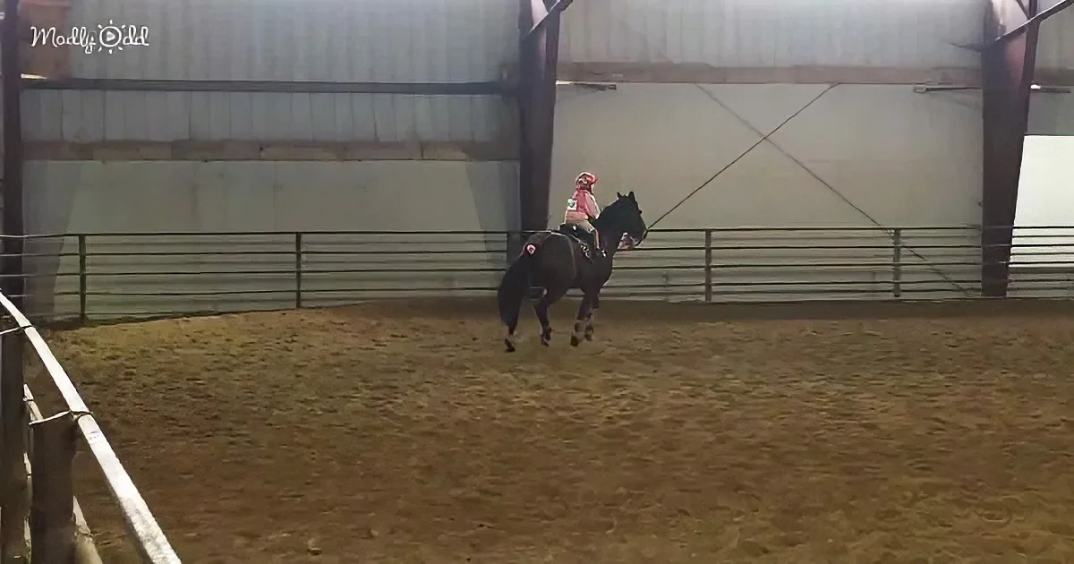 A person rides a dark horse in an indoor arena with a sandy floor and metal fencing.