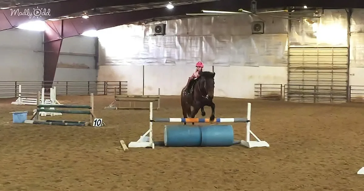 A rider on a horse jumps over a barrel obstacle in an indoor arena.