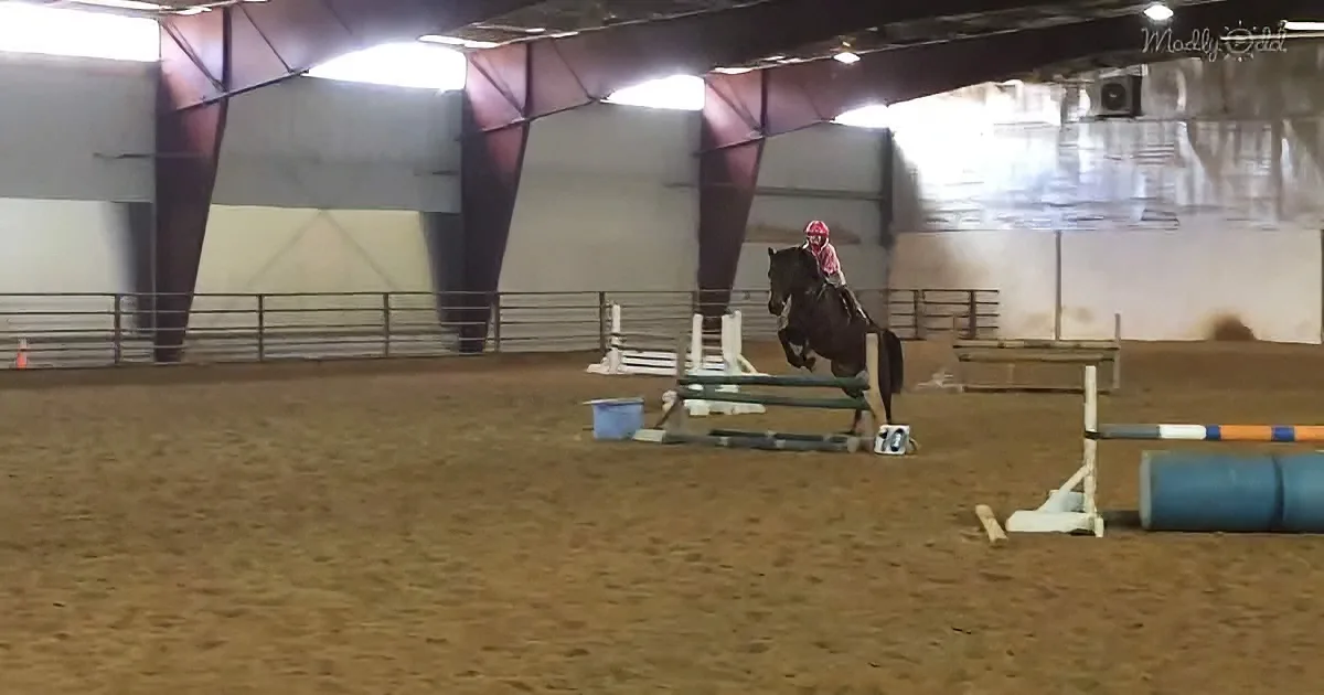 5-Year-Old Shocks Her Spectators With Her 2'6" Horse Jumping Talent