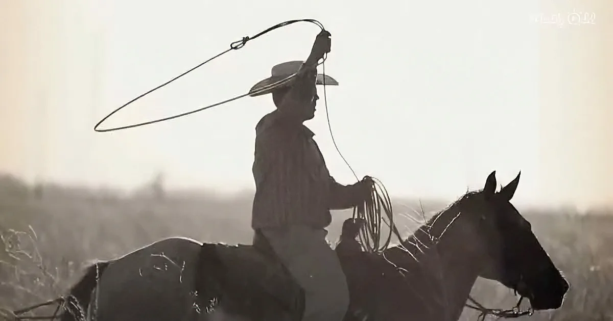A cowboy on horseback holds a lasso, silhouetted against a hazy sky.