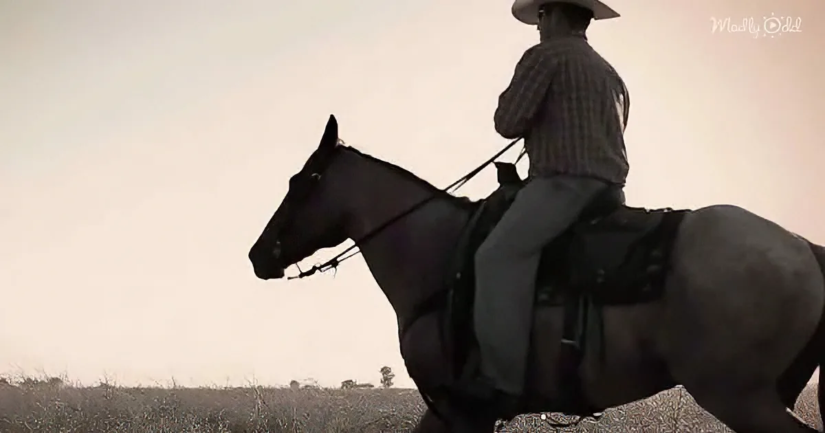 A cowboy in a plaid shirt and wide-brimmed hat rides a dark horse across a field under a hazy sky.