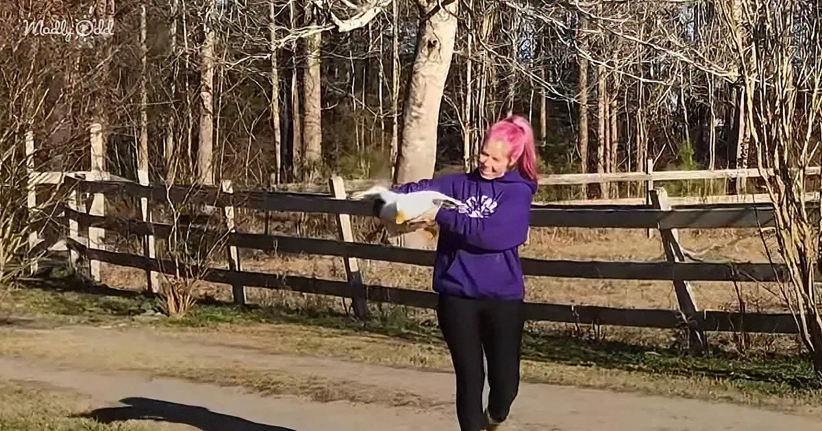 A woman with pink hair holds a white duck, standing in front of a wooden fence with bare trees in the background.