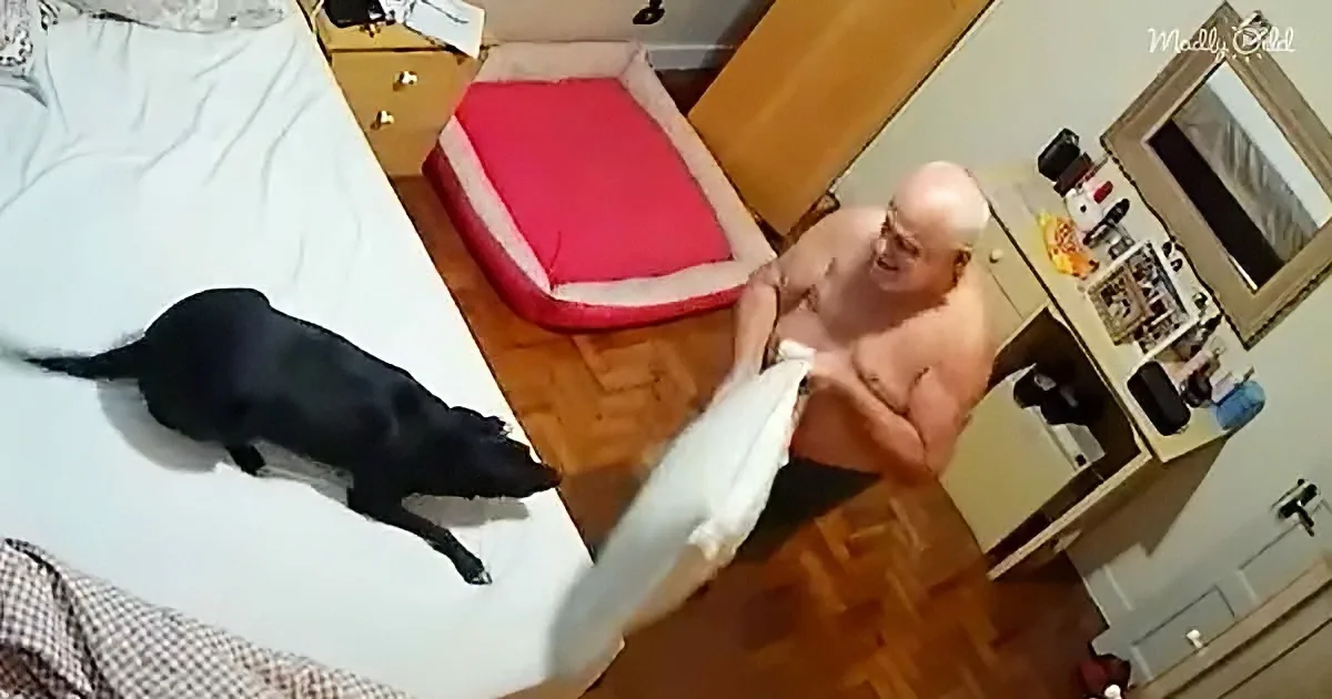 A shirtless man sits on a bed, holding a pillow, with a black dog lying on the bed beside him.