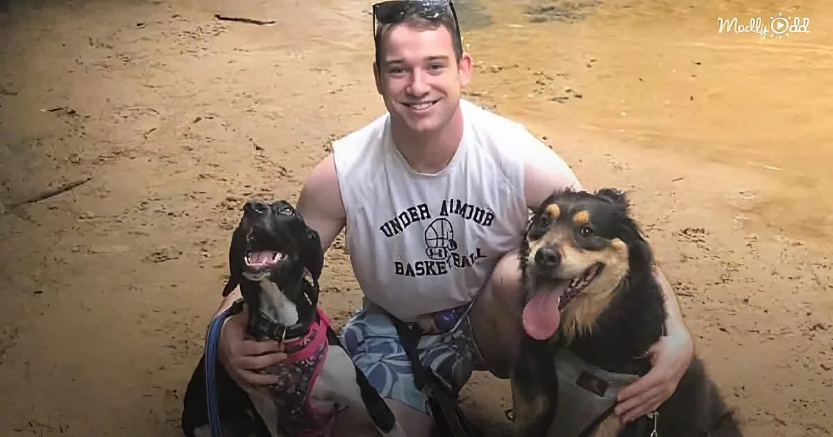 A man sits with two dogs on sandy ground, both smiling and looking at the camera.