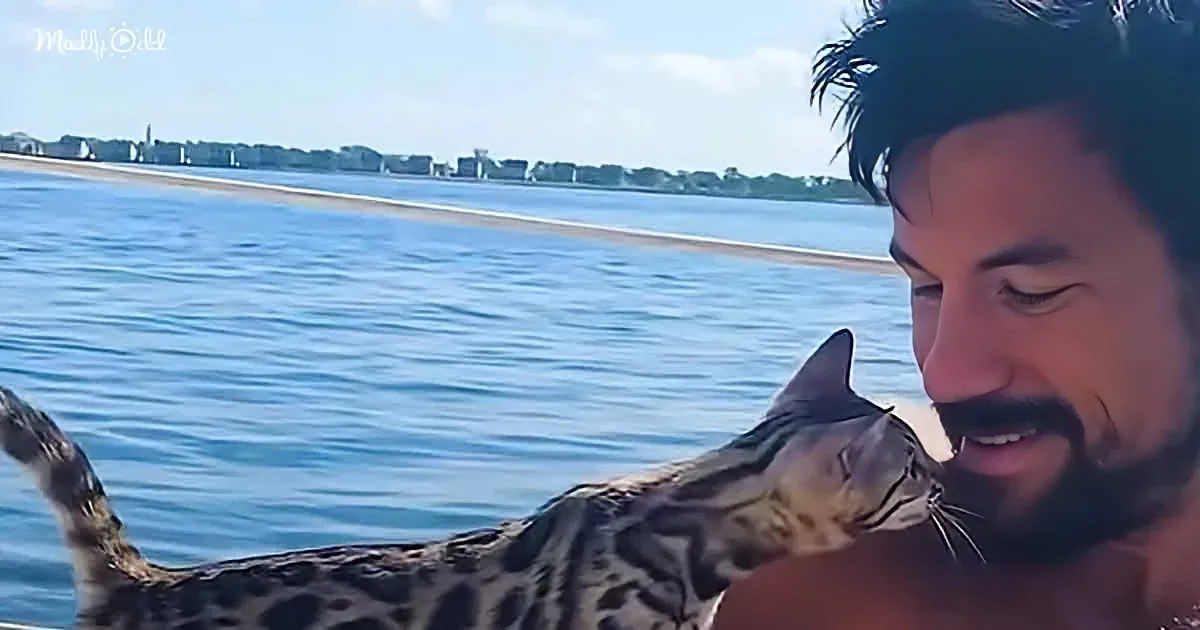 A man with a beard holds a spotted cat near a body of water, with a cityscape in the background.