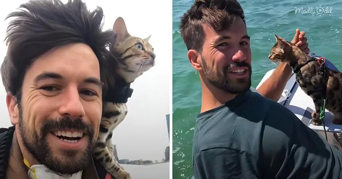 Adventurous Bengal Kitty Goes for Bike Rides and Sailboats With Her Dad