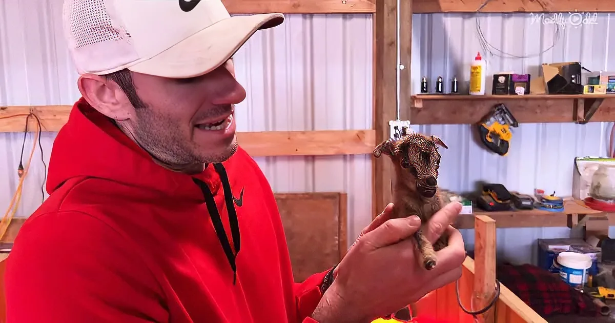 A man in a red hoodie and white cap holds a small, wet goat in a workshop setting.