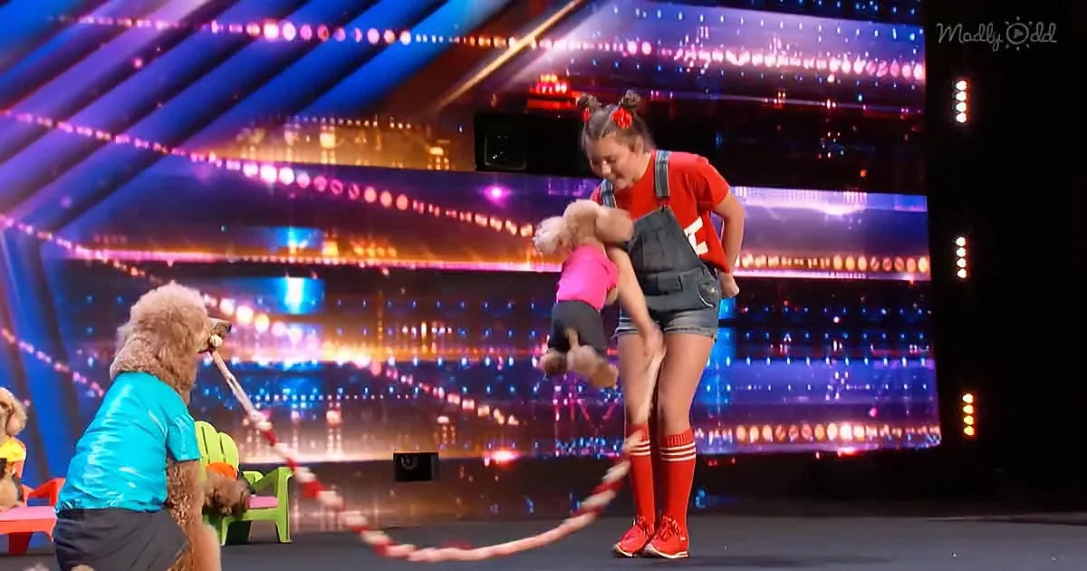 A girl in red and denim plays with a dog on a stage with colorful lights.