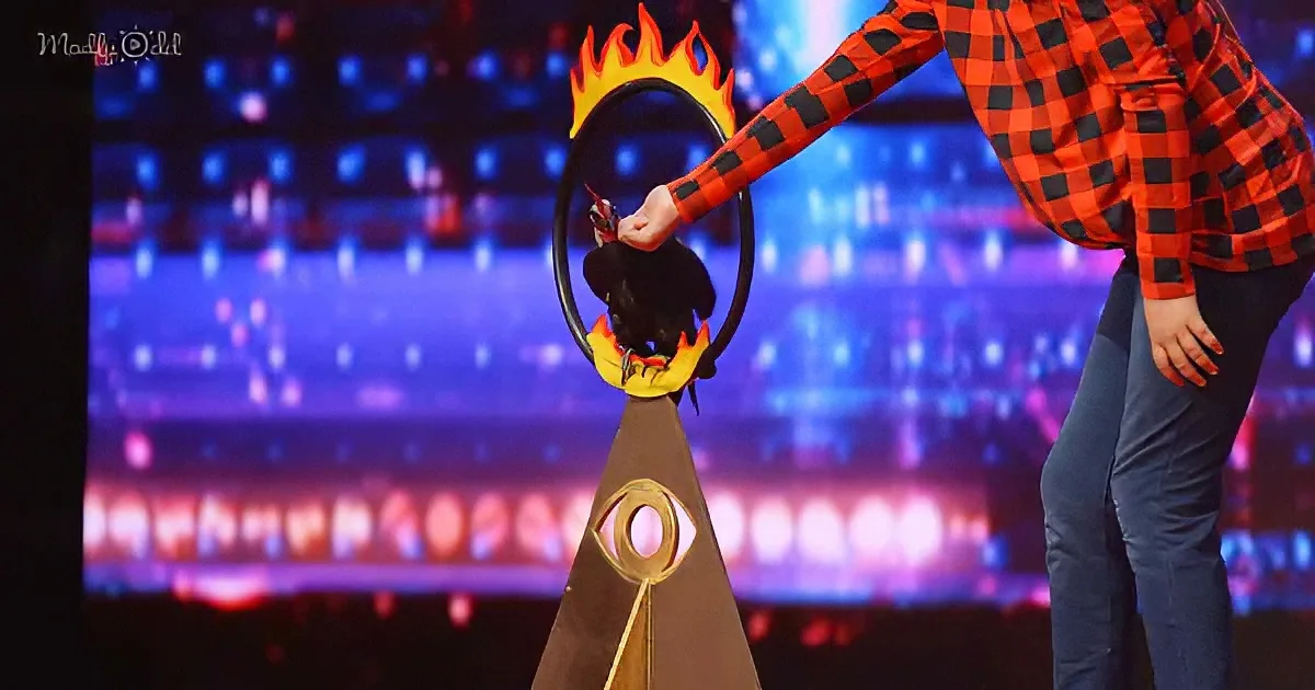 A person in a red plaid shirt holds a flaming ring above a bird perched on a pyramid structure.