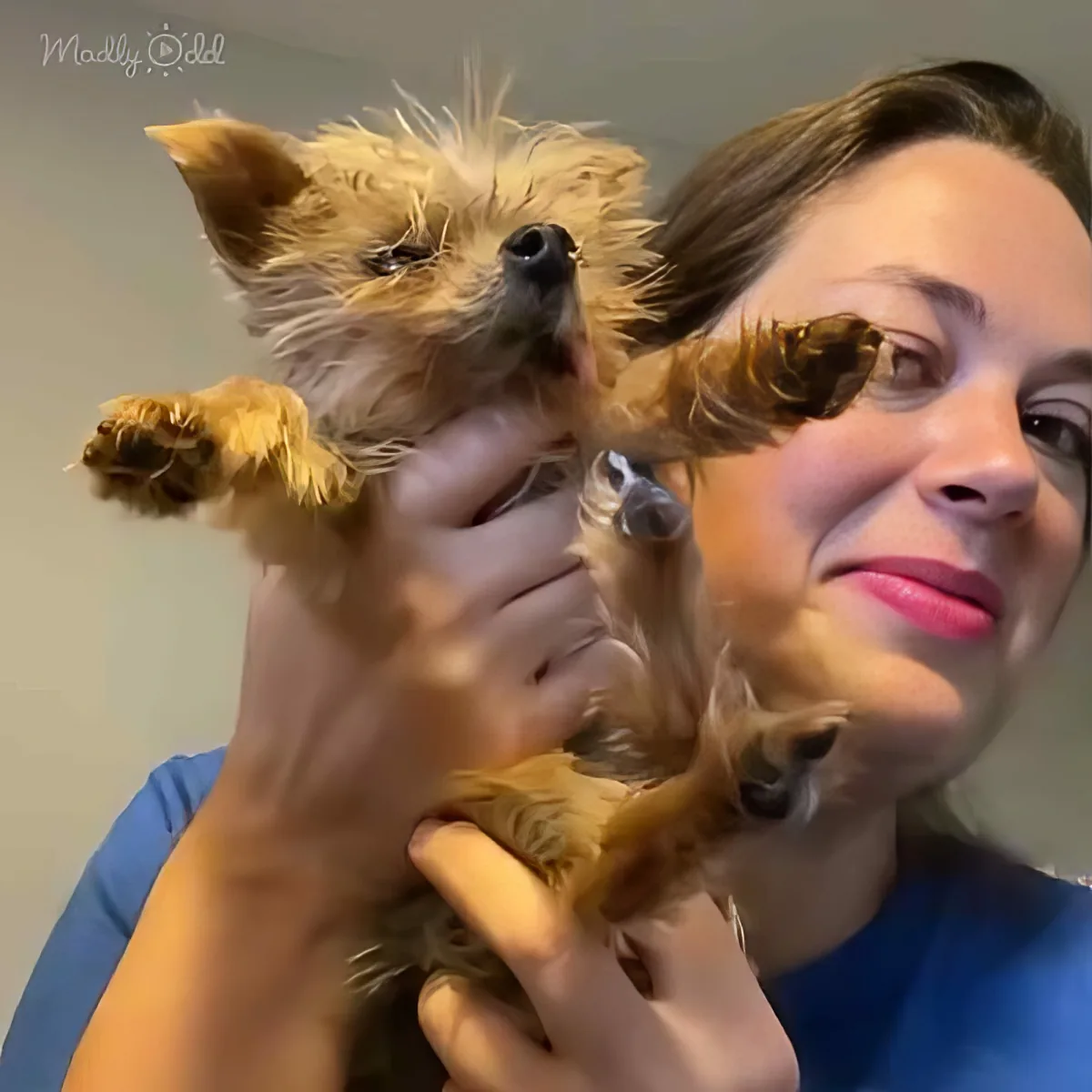 A woman holds a small, fluffy, light brown dog with a curious expression.
