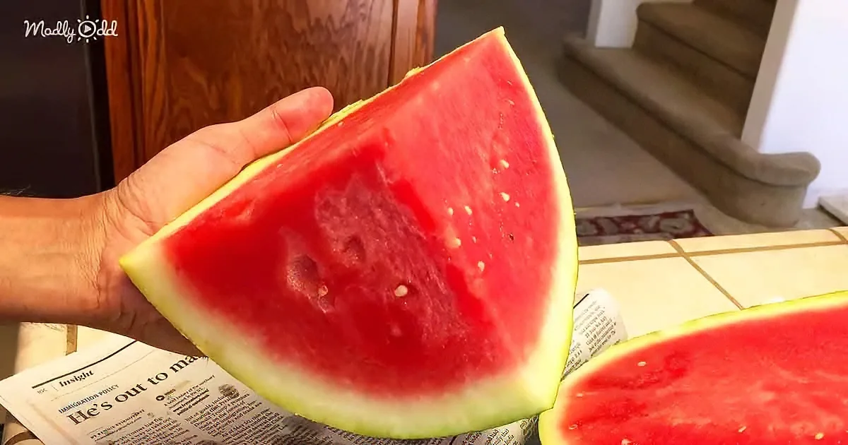 A hand holds a large, juicy watermelon slice with a bright red interior and green rind.