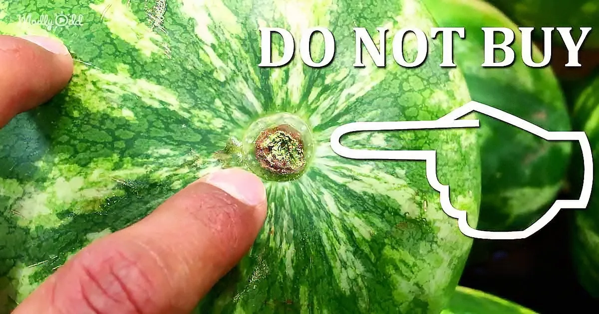 How to Pick the Sweetest Watermelon