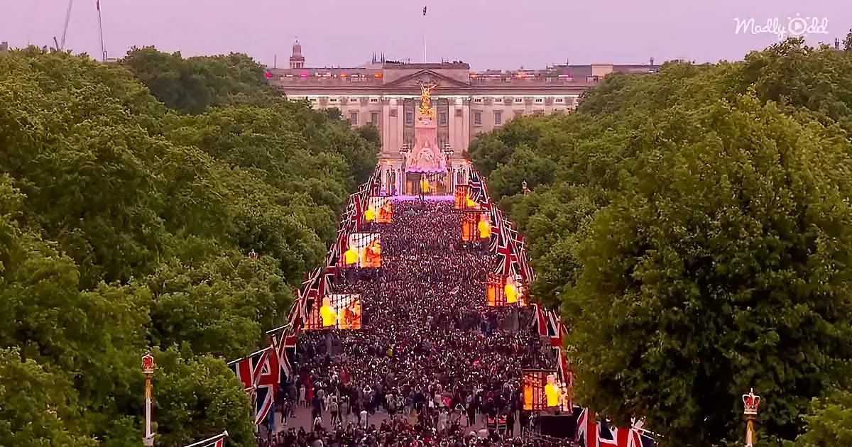 A massive crowd gathers on a red carpet lined with Union Jack flags leading to Buckingham Palace.