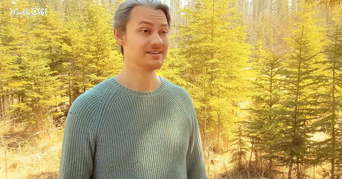 A man in a teal sweater stands in a forest with golden sunlight filtering through the trees.