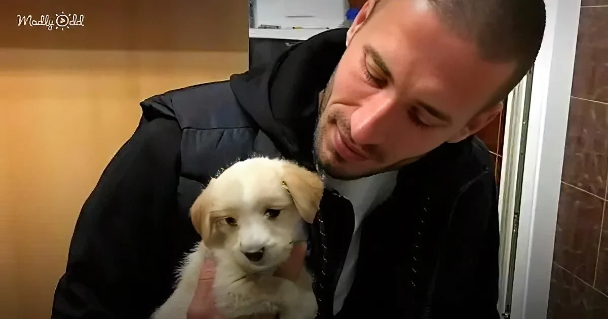 A man in a black jacket holds a small white puppy with a pink collar.