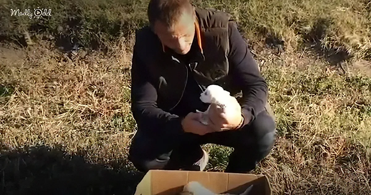 A man in a black jacket sits on grass, holding a small white bird in his lap.