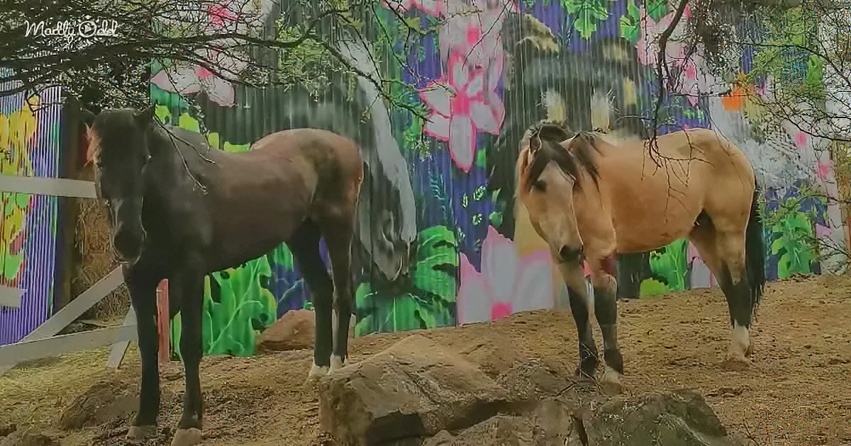 Two horses stand on dirt near a colorful mural with flowers and trees.