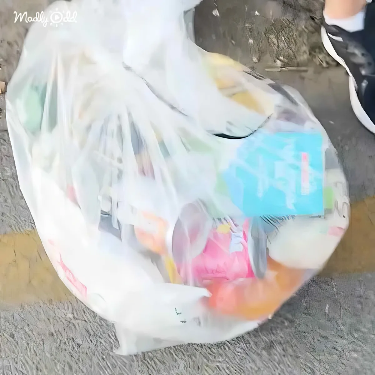 A plastic bag filled with various items, including a blue box, is lying on a concrete surface.