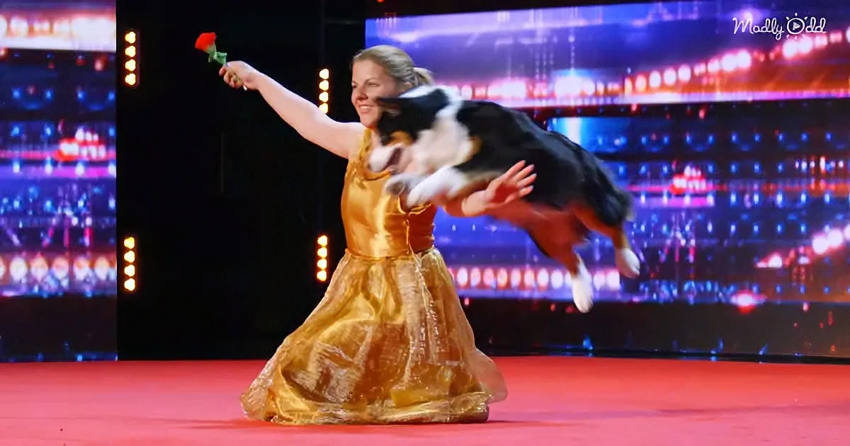 The Glamour Aussies on AGT