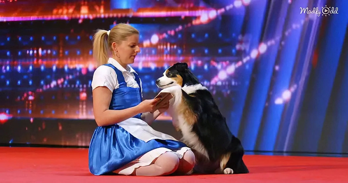 The Glamour Aussies on AGT