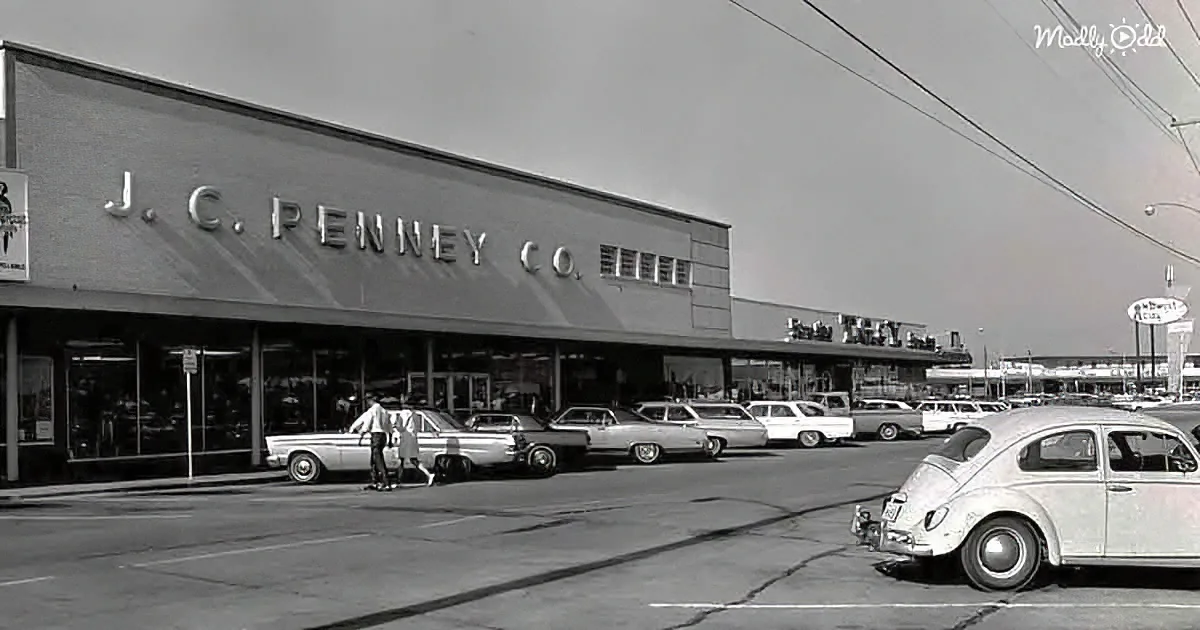 J.C. Penney Co. store with vintage cars and people in front, black and white.