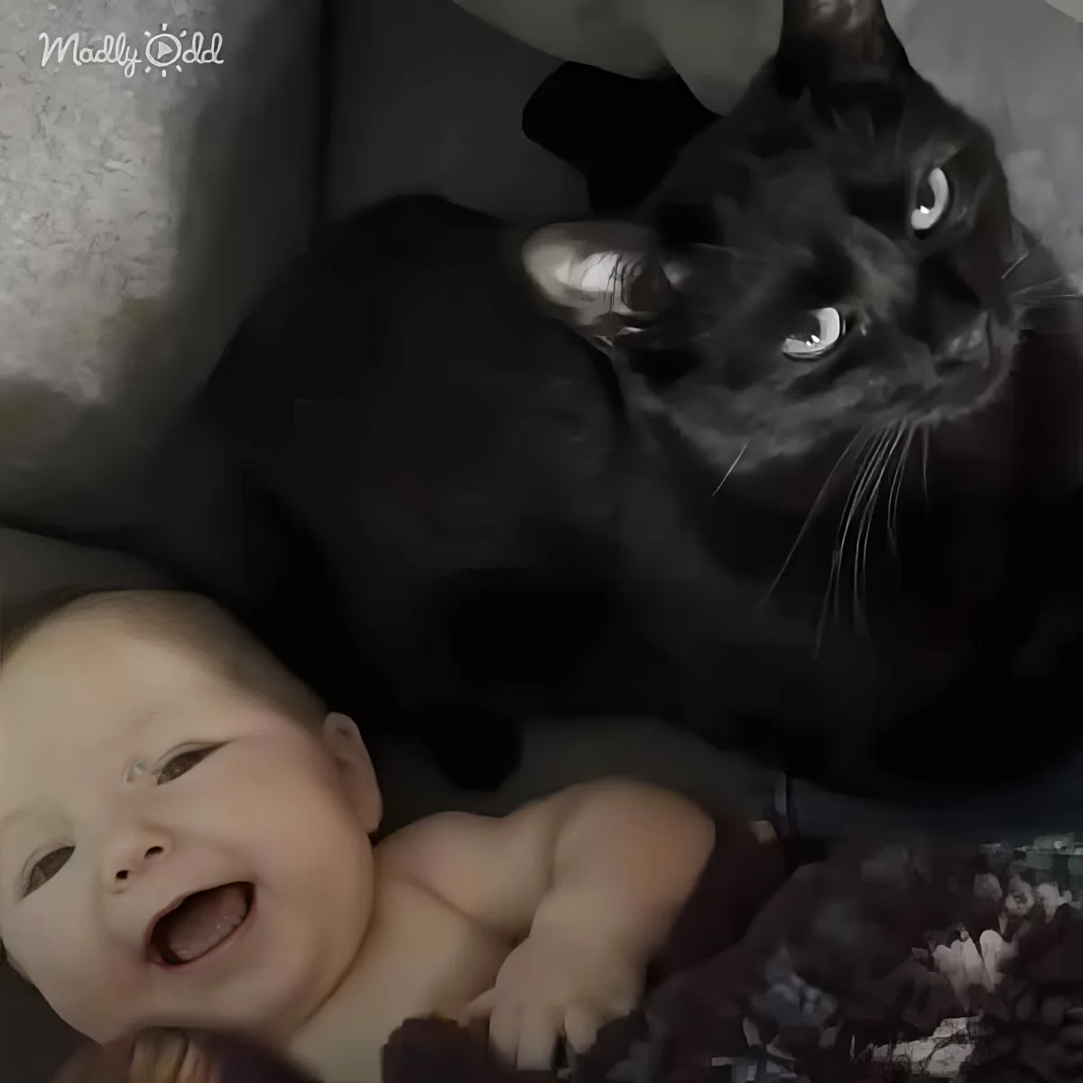 A black cat with striking eyes is lying next to a baby doll, both resting on a soft surface.