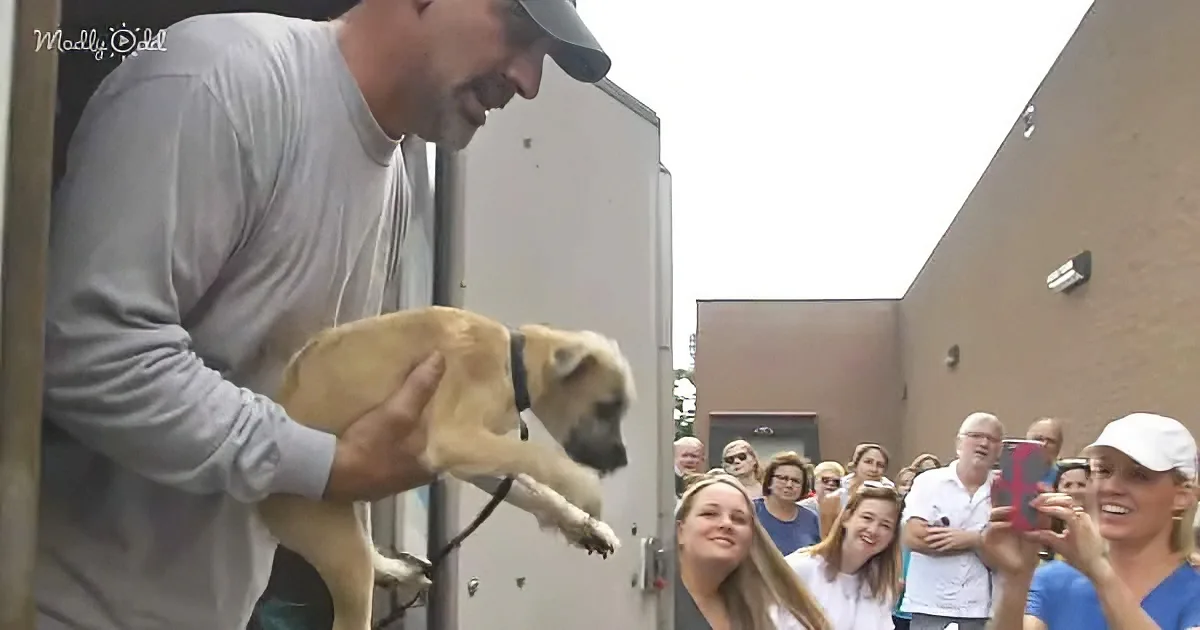 A man holds a dog while a crowd watches and smiles in an outdoor setting.