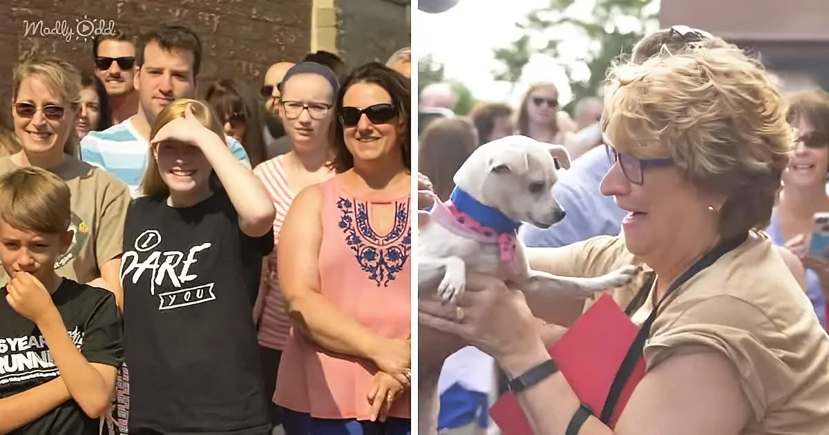 60 Strangers Wait in Shelter's Parking Lot to Get Their Dream Dogs