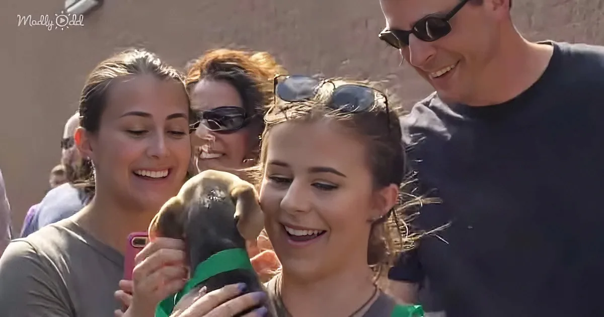 A woman holds a small dog wearing a green bandana, surrounded by smiling people.