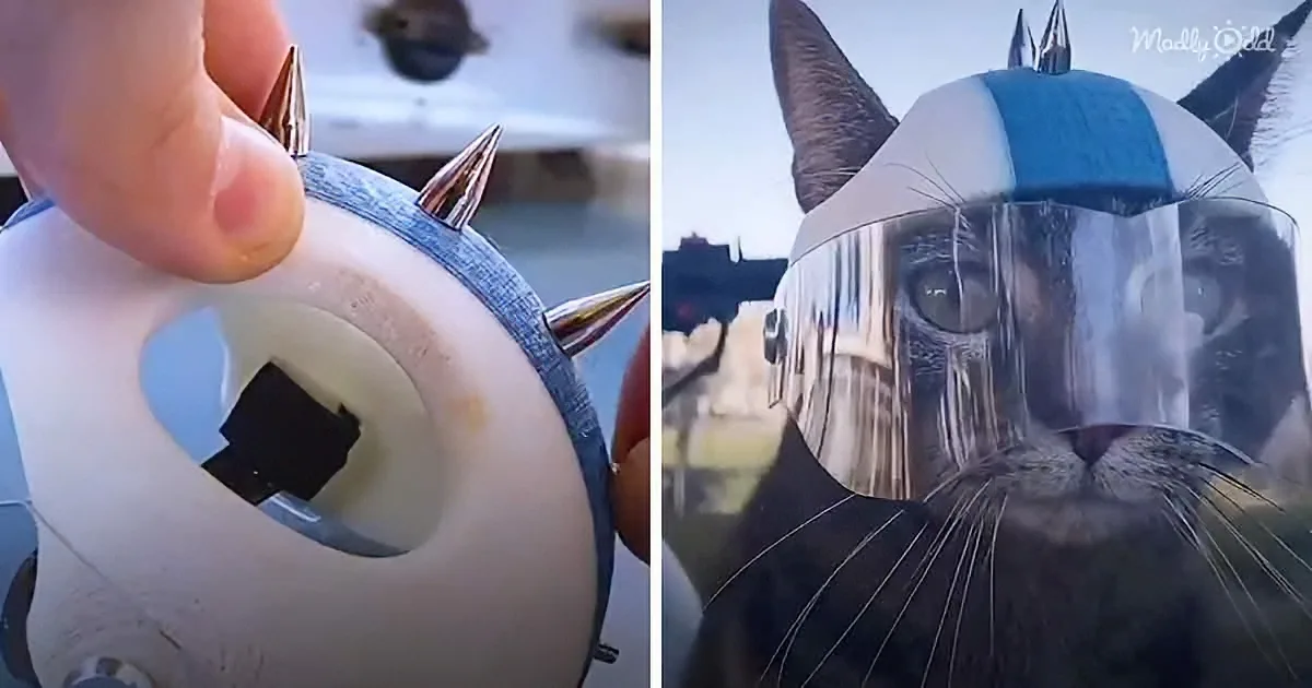 A cat wearing a helmet with spikes and a reflective visor, resembling a knight's armor.