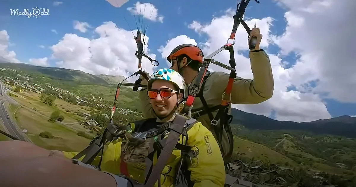 Two people tandem paragliding, one in a yellow jacket, both wearing helmets and harnesses, with a scenic landscape below.