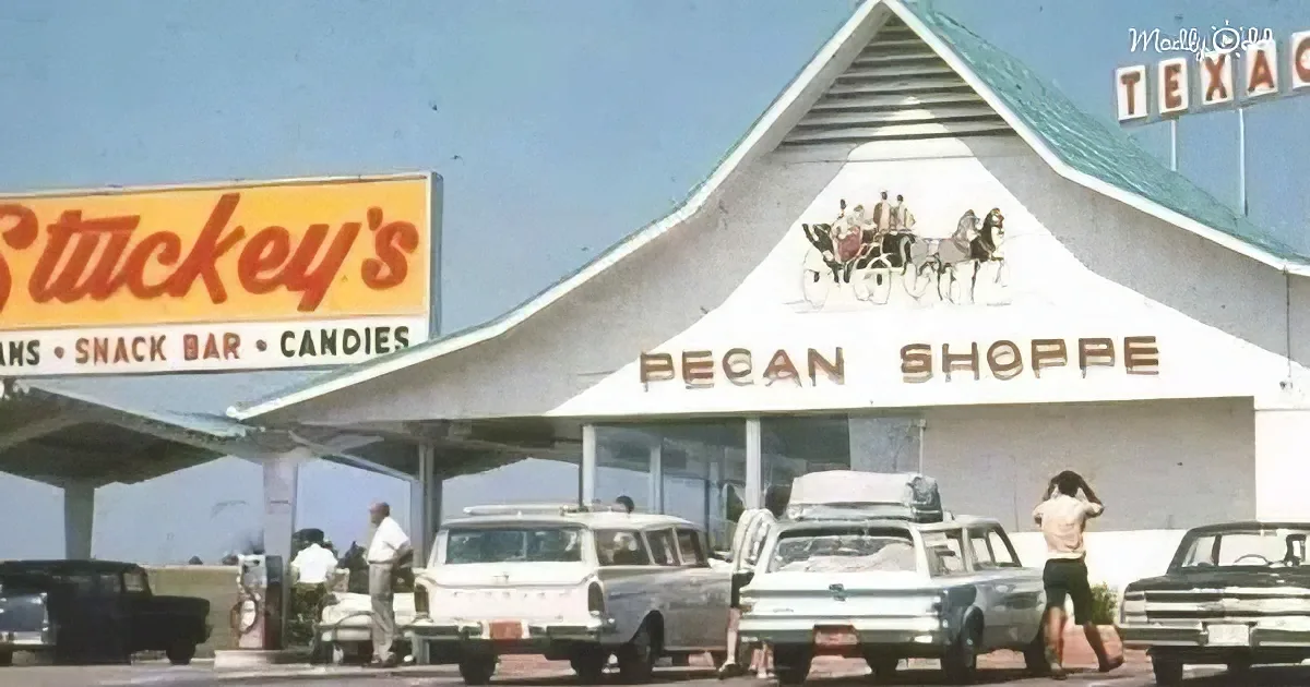 A vintage gas station with "Stuckey's" sign, "Pecan Shoppe," and classic cars parked in front.